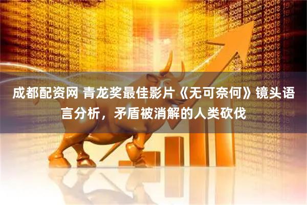 成都配资网 青龙奖最佳影片《无可奈何》镜头语言分析，矛盾被消解的人类砍伐
