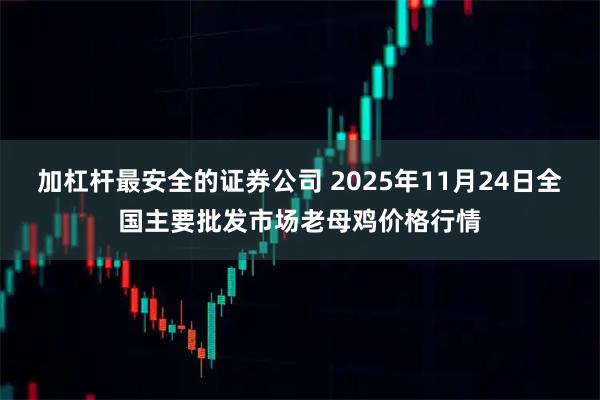 加杠杆最安全的证券公司 2025年11月24日全国主要批发市场老母鸡价格行情